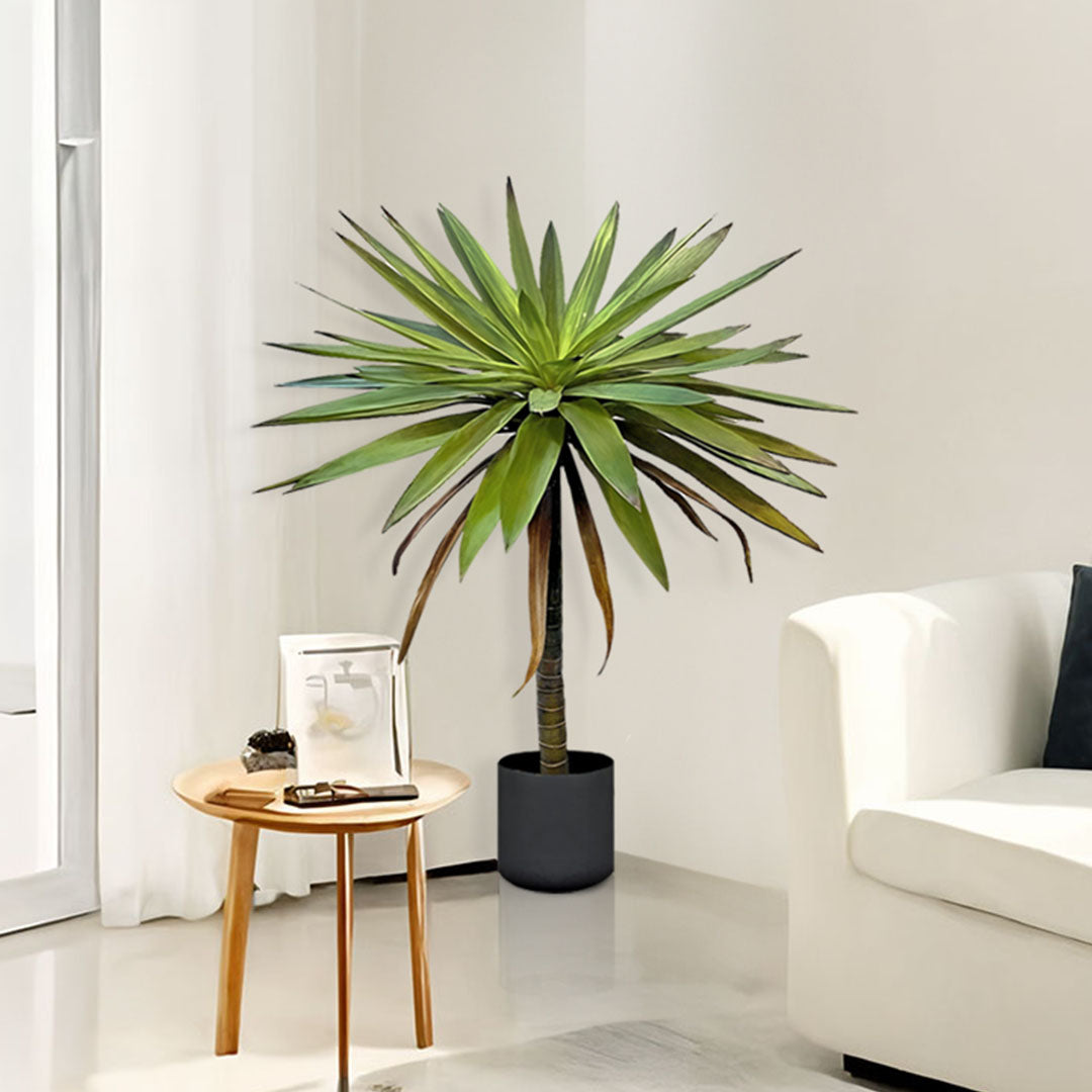 90cm Yucca Tree