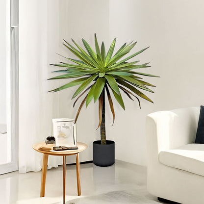 90cm Yucca Tree