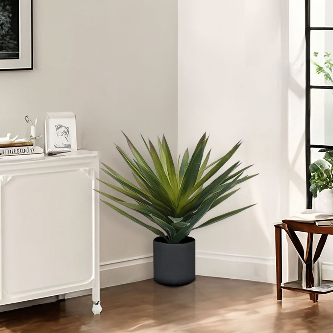 45cm Yucca Plant