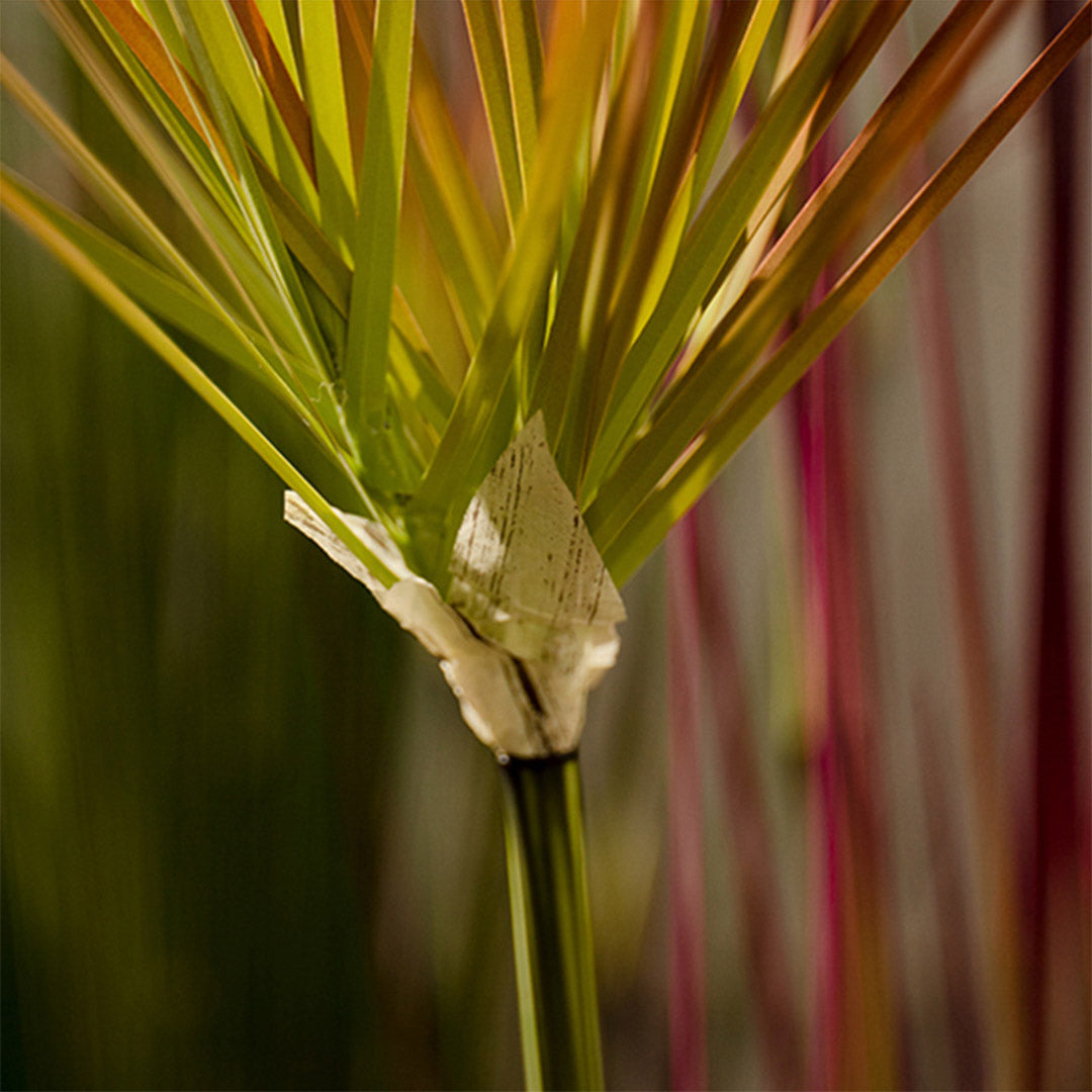 120cm Purple-Red Artificial Papyrus Plant