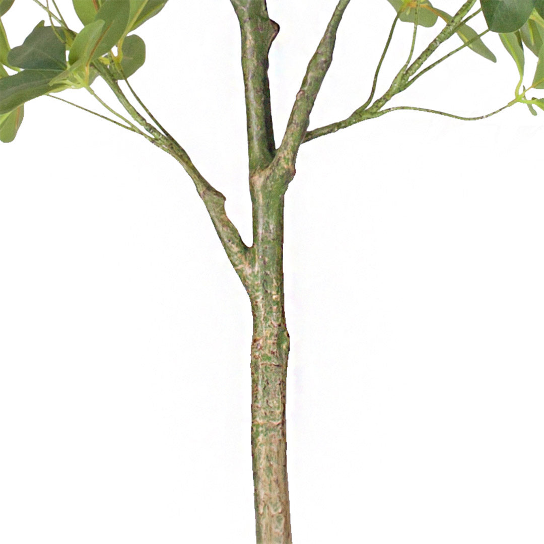 160cm Artificial Schefflera Dwarf Umbrella Tree
