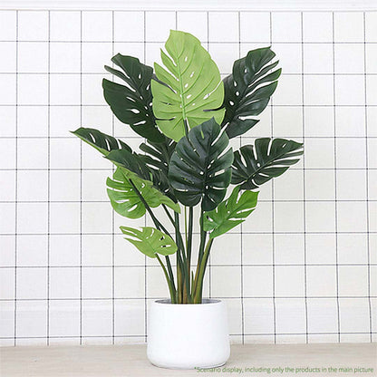 80cm Artificial Turtle Back Plant