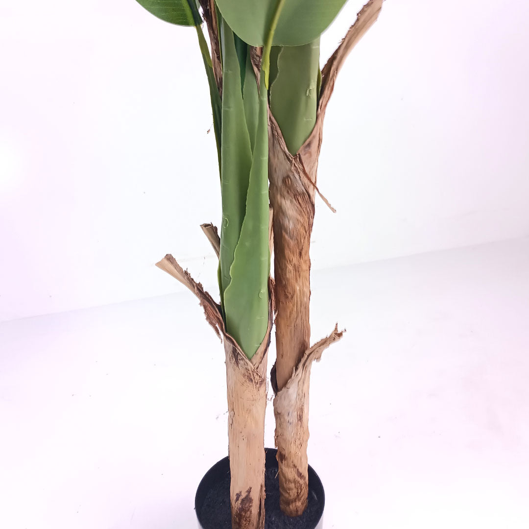 190cm Banana Plant