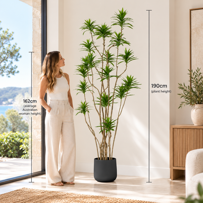 190cm Lily Bamboo Plant