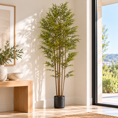 240cm Lucky Bamboo Plant w/ 7 Branches