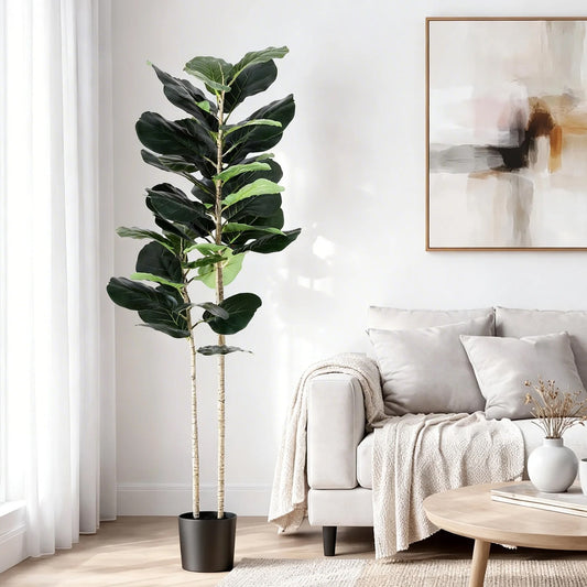150cm Fiddle Tree