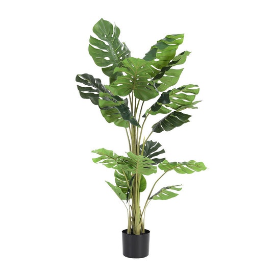 Monstera Tree 140cm
