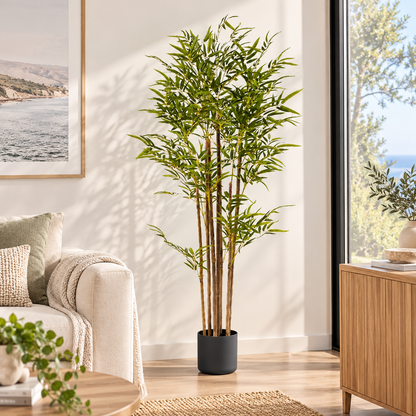 120cm Lucky Bamboo Plant w/ 7 Branches