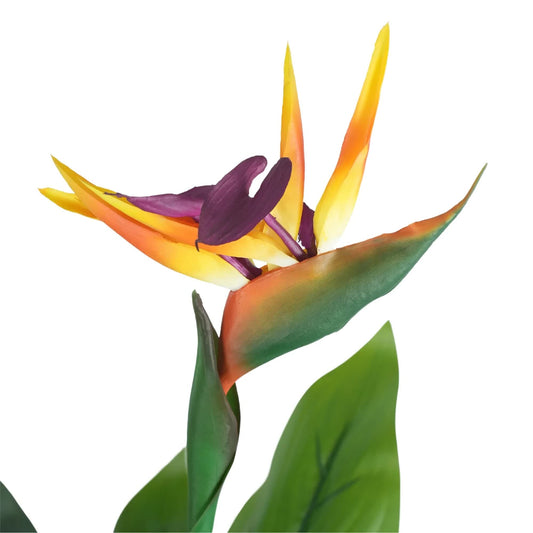 Bird of Paradise Plant 110cm