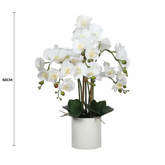 Multi-Stem White Orchid 65cm