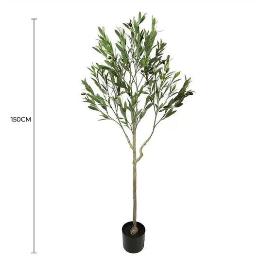Olive Tree UV Resistant 150cm