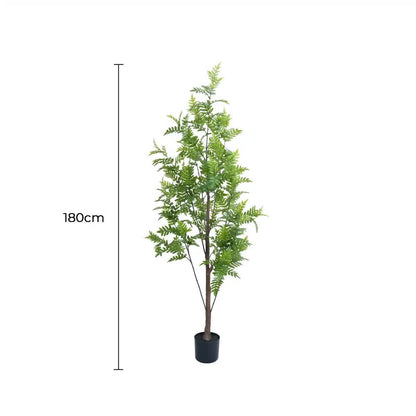 Premium Real Touch Artificial Bracken Palm Tree 180cm