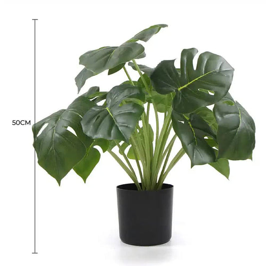 Monstera Plant With Real Touch Leaves 50cm