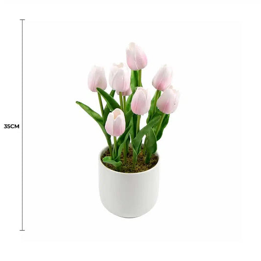 Pink Tulip Plant 35cm