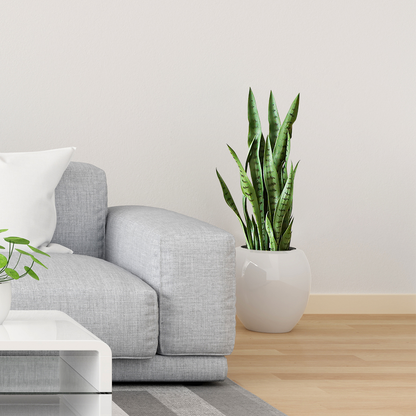 97cm Artificial Indoor Snake Plant
