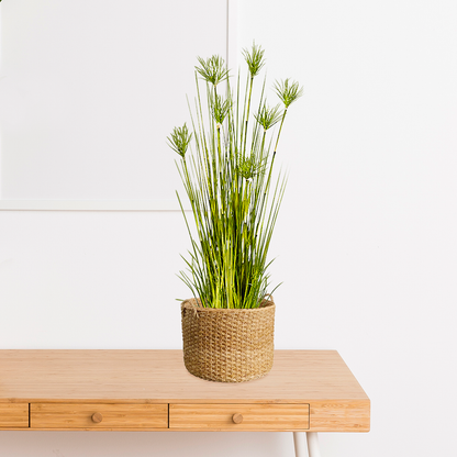 150cm Purple Artificial Papyrus Plant