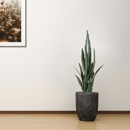 95cm Artificial Indoor Snake Plant