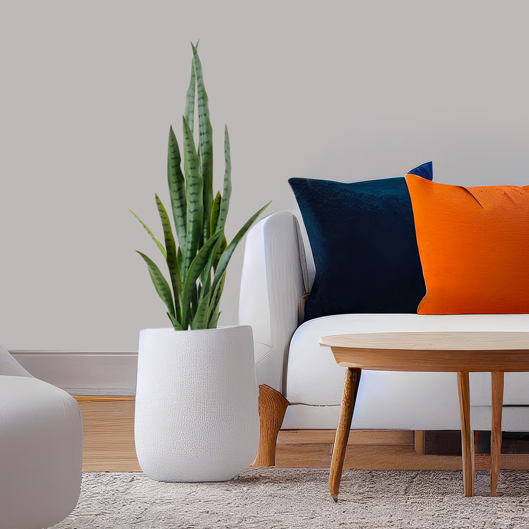 95cm Artificial Indoor Snake Plant