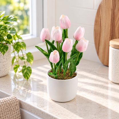 Pink Tulip Plant 35cm